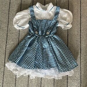 Dorothy Costume (girl size 4-6)